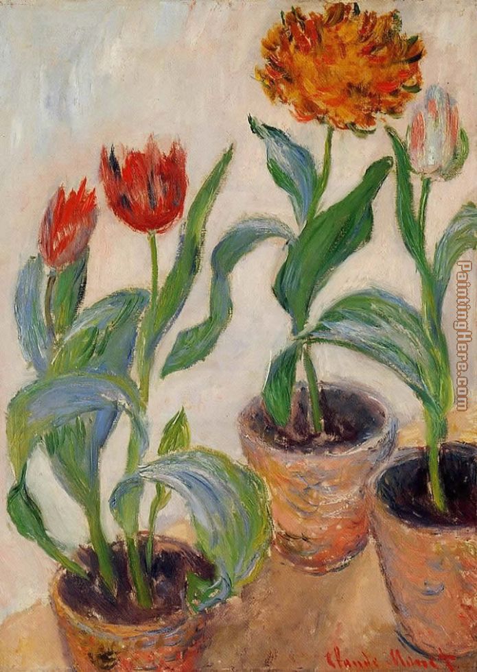 Three Pots of Tulips painting - Claude Monet Three Pots of Tulips art painting